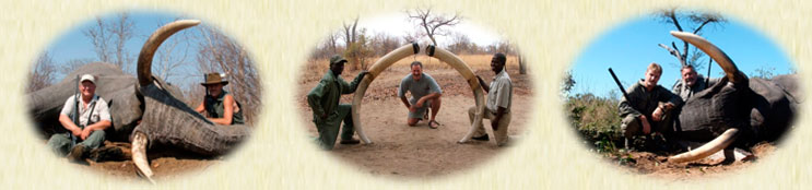 Ivory Hunter Ivory Hunters Africa - Home Page
